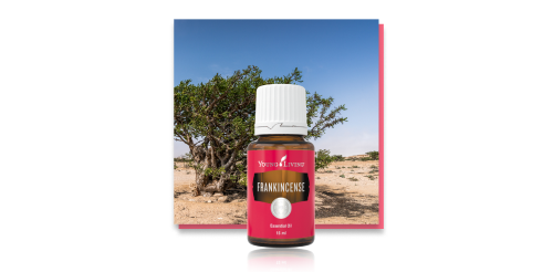 フランキンセンス