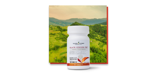 ブラックジンジャーPMF