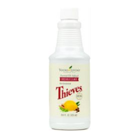 ヤングシーブス ハウスホールドクリーナー