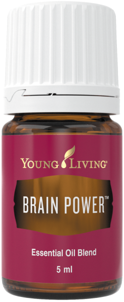 ブレインパワー