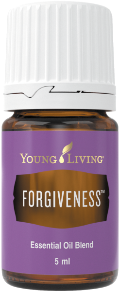 フォーギブネス