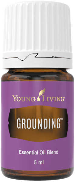 グラウンディング