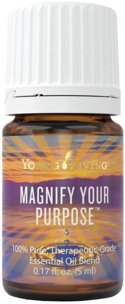 マグニファイユアパーパス