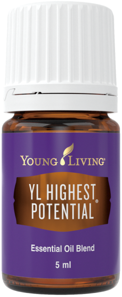 YLハイエストポテンシャル