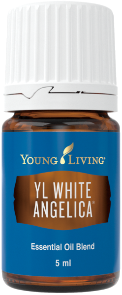 YL ホワイトアンジェリカ