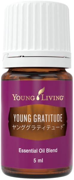 ヤング グラティテュード