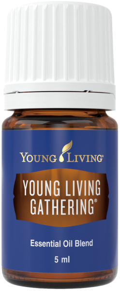 ヤングリビングギャザリング