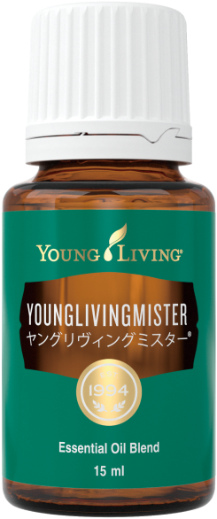 ヤングリビングミスター