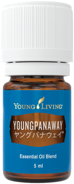 ヤングパナウェイ