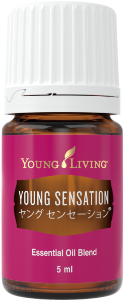 ヤングセンセーション