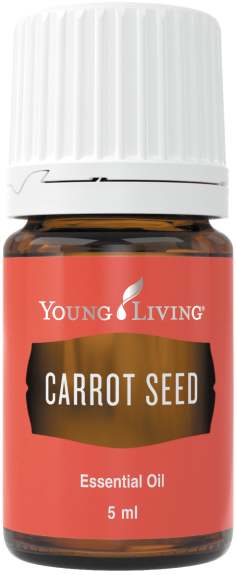 キャロットシード