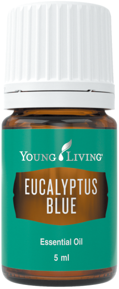 ユーカリ ブルー