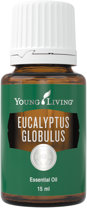 ユーカリグロビュラス