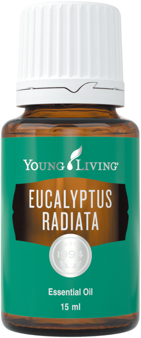 ユーカリラディアータ