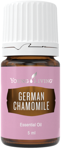 ジャーマンカモミール