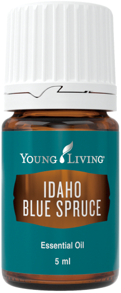 アイダホブルースプルース