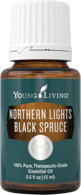 ノーザンライトブラックスプルース