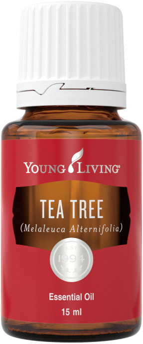 ティートゥリー