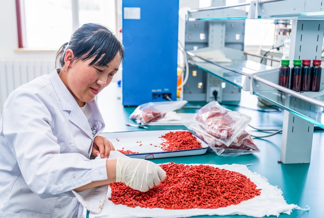 ニンシアレッド（NingXia Red ）無理なく続ける、毎日のルーティンに