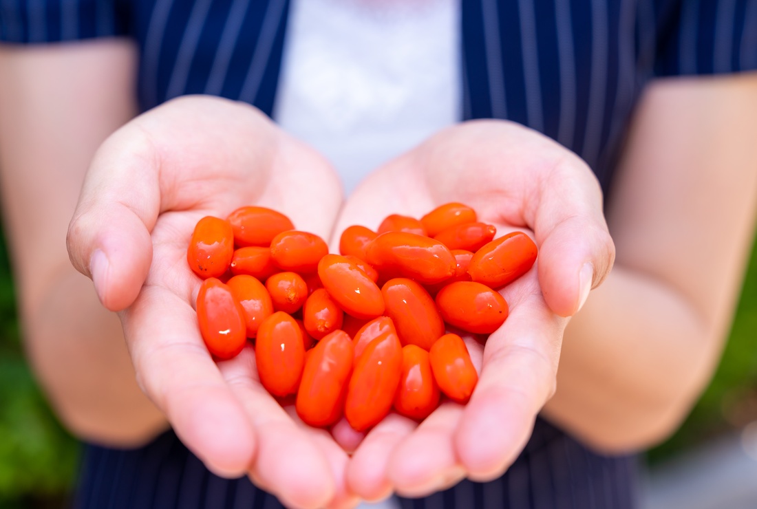 ニンシアレッド（NingXia Red ）無理なく続ける、毎日のルーティンに